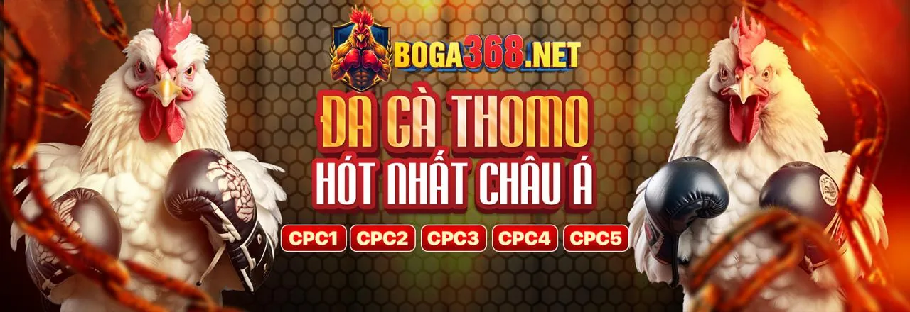 Hình ảnh đá gà trực tuyến SV368