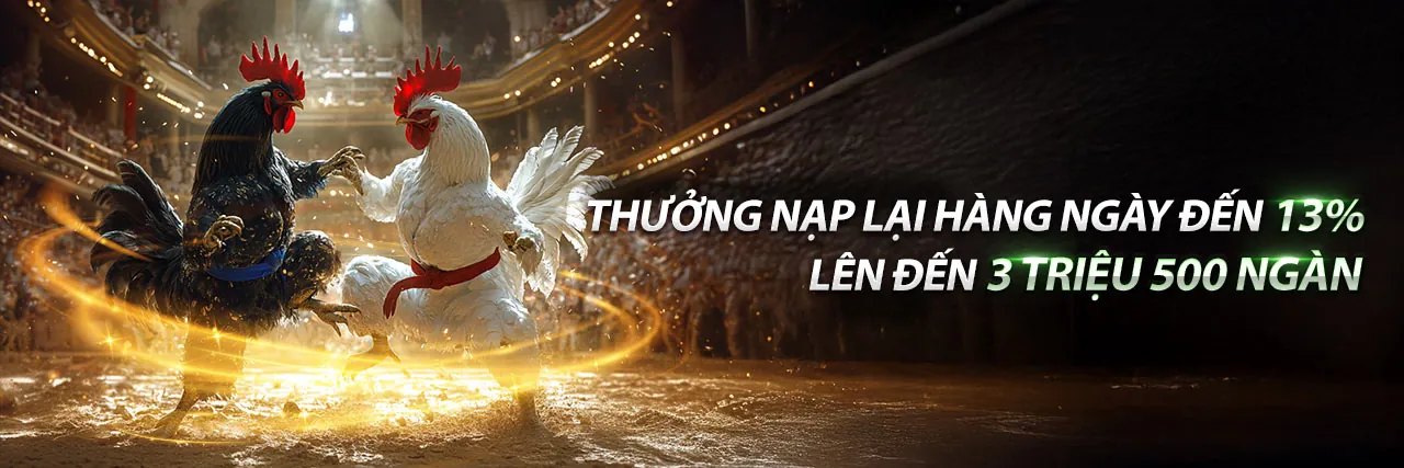 Sàn đấu đá gà trực tuyến SV368 chuyên nghiệp