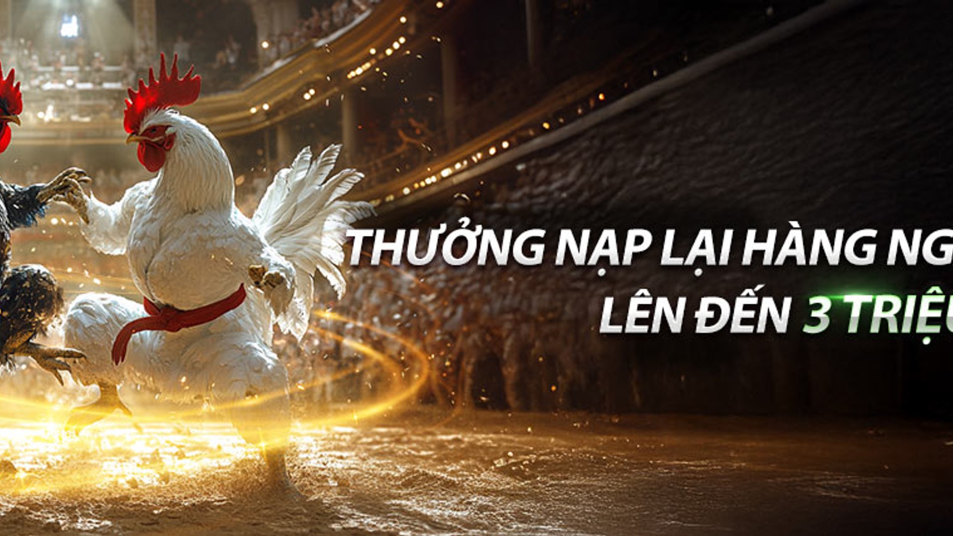 Đá gà trực tuyến sv368