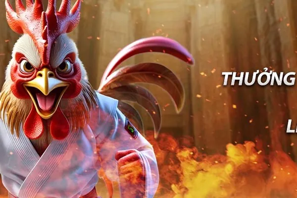 Hình ảnh gà chọi đang thi đấu quyết liệt tại sv368