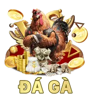 Điền thông tin đăng ký