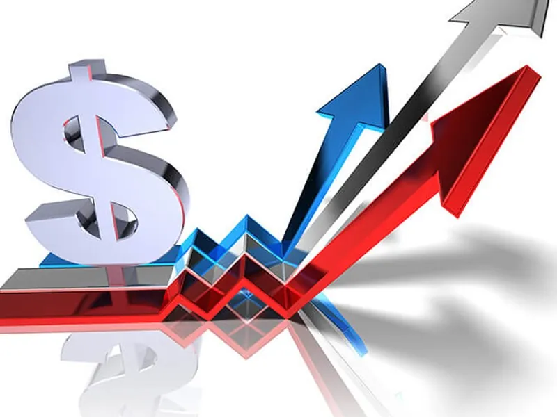 Hình ảnh chiến lược theo dõi và phân tích trận đấu đá gà